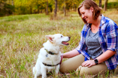 Request Quote: Creative Canine Solutions - Dog Training Services - Springfield, OR