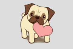 Request Quote: Dani the Dog Trainer - Certified Dog Trainer CCPDT - Sturbridge, MA