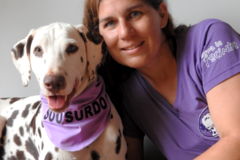 Request Quote: Turma do Focinho - Certified Private Dog Trainer - São Paulo, SP