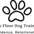 4 on The Floor Private Dog Training - Milford, NH