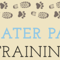 Greater Paws Training - Private Dog Trainers - Newnan, GA