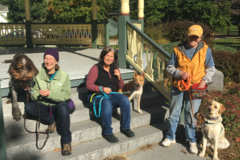 Request Quote: You and Your Dog Training Services - New Boston, NH