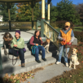You and Your Dog Training Services - New Boston, NH