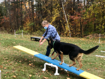 Intro to Agility group class