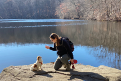 Request Quote: Sundog Pet Care - Mobile Dog Training - Brooklyn, NY
