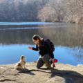 Sundog Pet Care - Mobile Dog Training - Brooklyn, NY