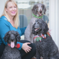 Polite Pooches - CCPDT Certified Private Dog Trainer - Forest Hill, MD
