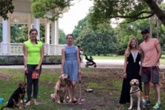 Request Quote: Purely Positive Dog Training - Certified Dog Trainers - Mt Pleasant, SC