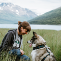 Howling Peaks - Certified Private Dog Trainer - Anchorage, AK