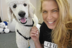 Request Quote: Walks With Robin - CCPDT Certified Private Dog Trainer - Palm Desert, CA
