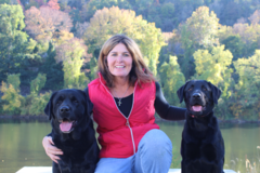 Request Quote: The Positive Pooch - CPDT Certified Private Dog Trainer - Conshohocken, PA