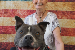 Request Quote: Service Dogs Of New Mexico - Canine Training - Sandia Park, NM