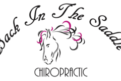 Request Quote: Back In The Saddle Animal Chiropractic - Conroe, TX