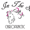 Back In The Saddle Animal Chiropractic - Conroe, TX