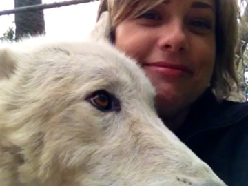 Hanging out with Koda the wolf after a walk around the zoo.