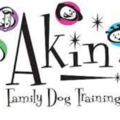 Akin Family Dog Training - Private In Home K9 Trainer - Pittsburgh, PA