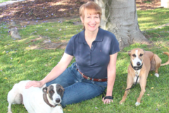 Request Quote: The Grounded Hound Canine Coaching - Puppy Dog Trainer - Santa Ana, CA