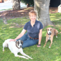 The Grounded Hound Canine Coaching - Puppy Dog Trainer - Santa Ana, CA