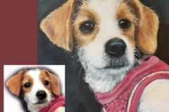 Request Quote: Fuzzy Angel Pet Portraits - Nationwide