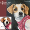 Fuzzy Angel Pet Portraits - Nationwide