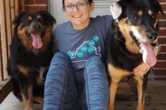 Request Quote: Confident Canine Coach - Private Certified Dog Trainer - Richmond, VA