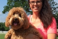 Request Quote: Positively Puppy - Private Puppy and Dog Training - Perkasie, PA