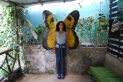 Request Quote: Heart and Soul Animal Reiki  - Nationwide