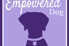 Request Quote: The Empowered Dog - Private In Home Dog Training Service - Muskegon, MI