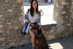 Request Quote: Melanie Chin CPDT-KA - Certified Dog Trainer - Orangeville, ONLWX