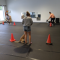 Unleashed Niagara - Certified Private Dog Trainer - St. Catharines, ONLSE