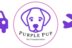 Request Quote: PurplePup Pet Transportation  - Grapevine, TX