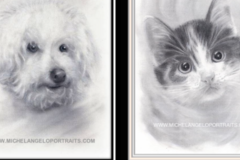 Request Quote: Michel Angelo - Rockville Maryland Pet Portraits  - Nationwide