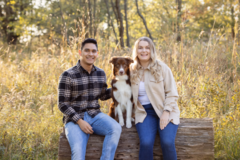 Request Quote: Terri J Photography, pet photographer  - Toronto, ON