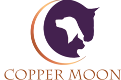 Request Quote: Copper Moon Veterinary Wellness - Animal Acupuncture - Little Silver, NJ