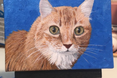 Request Quote: Jessica Keller Art - Pet Portrait Artist - Nationwide
