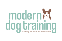 Request Quote: Modern Dog Training - Certified Private Dog Trainer - East Greenwich, RI
