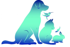Request Quote: ❤ Personalized Professional Care ❤ - Pet Sitting Services - Fredericksburg, VA