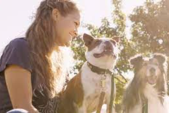 Request Quote: Posh Pets - Dog Walking and In Home Cat Sitting - Falls Church, VA