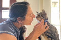 Request Quote: Maid For Your Pet - Pet Sitting and Dog Walking - San Diego, CA