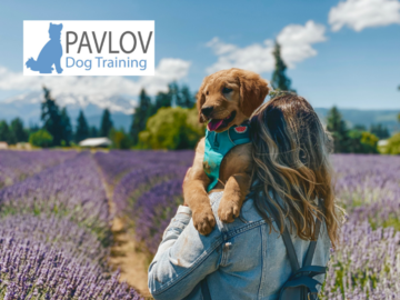 Pavlov Dog Training Portland