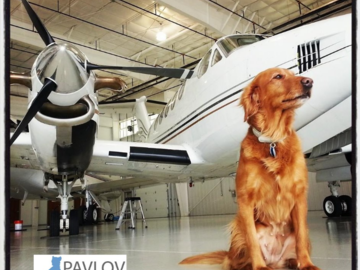 Pavlov Dog Training + Airplanes