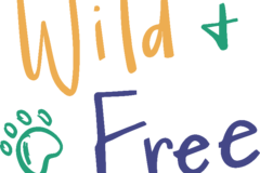 Request Quote: Wild and Free Pet Services  - Grand Rapids, MI