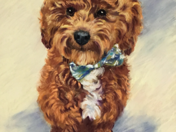 This is Teddy! Commissioned in PA as a gift for his lovely pet parent in Harrisburg!