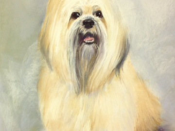 This is Sam! Commissioned from Yuma, Arizona! Pastel painting,  14 x 11” in size