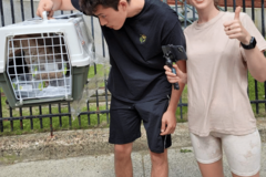 Request Quote: Home Stretch Pet Travels - Pet Transportation Service - Hartford, CT