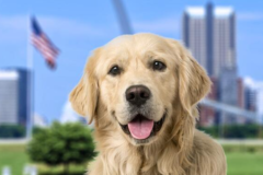 Request Quote: Luxury Pet Transportation  - Nationwide