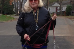 Request Quote: Suzanne’s Pet Services & Dog Training - Riverside, CT