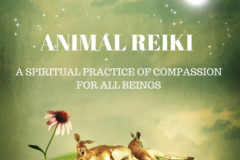 Request Quote: Animal Reiki (Distance or In Home) - Nationwide