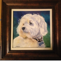 Watercolors by Marla - Animal Portrait Artist - Nationwide