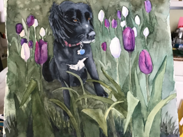 Sadie and tulips